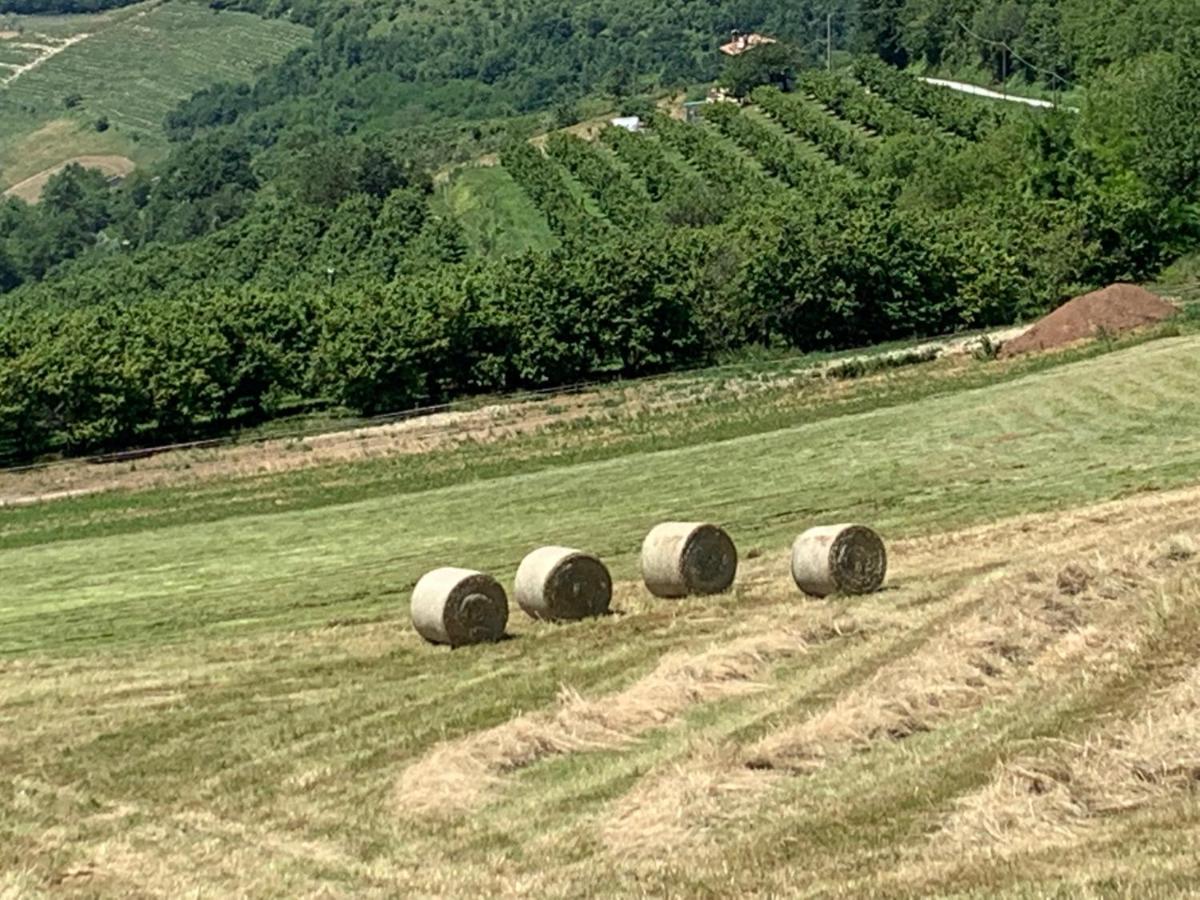 La Luce Delle Colline Bed & Breakfast Serravalle delle Langhe Eksteriør bilde